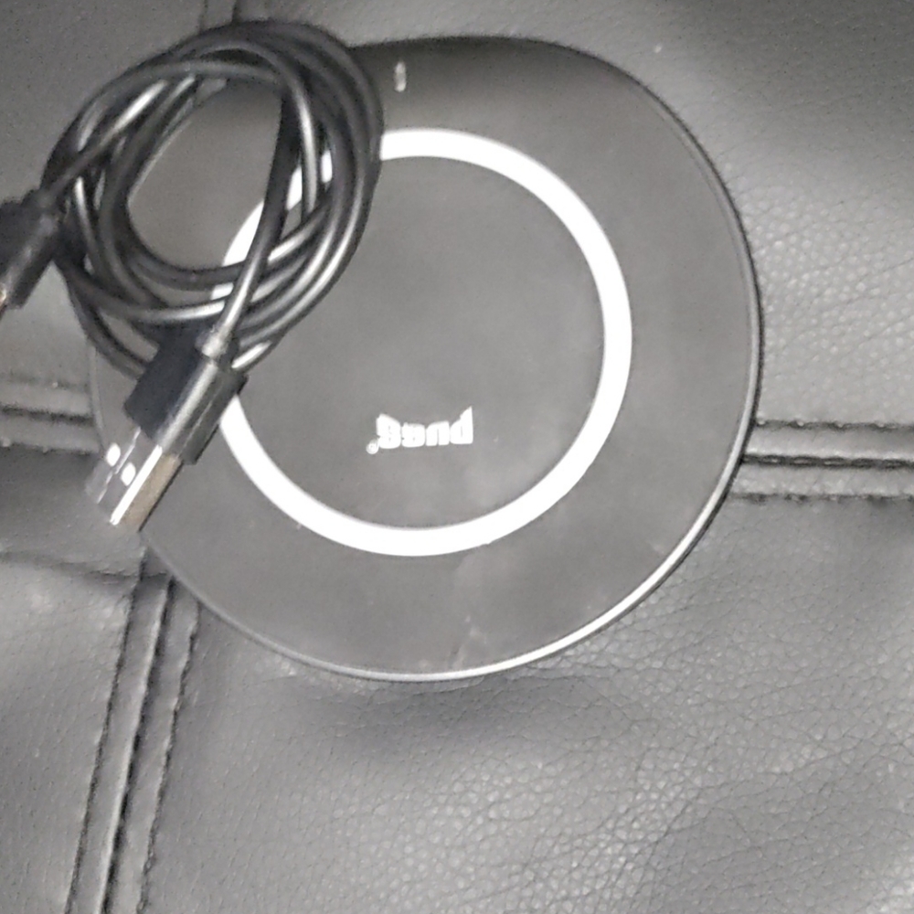 Pugs wireless charger